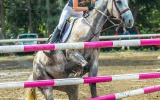 _DSC6463